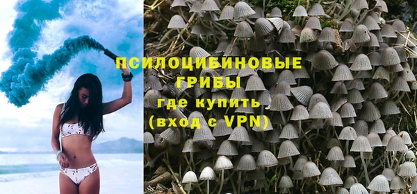 стафф Краснотурьинск