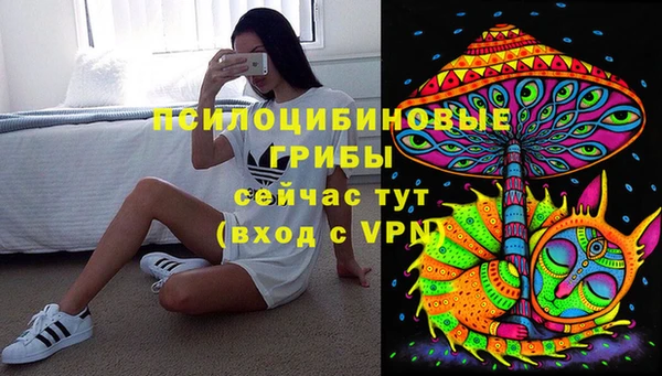 стафф Краснотурьинск